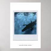 DAVID'S POOL SERIES p05b Poster (Vorne)