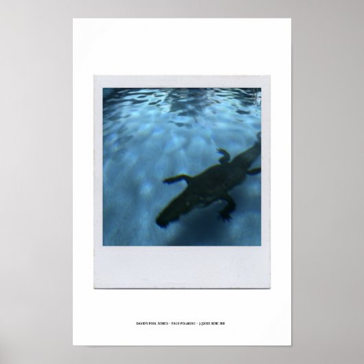 DAVID'S POOL SERIES p05b Poster (Vorne)