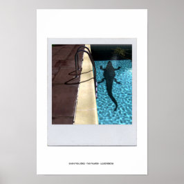 DAVID'S POOL SERIES p08b Poster