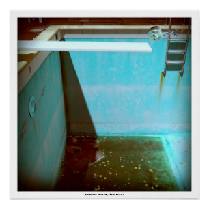 DAVID'S POOL SERIES p09g- 3D Computer ART Poster