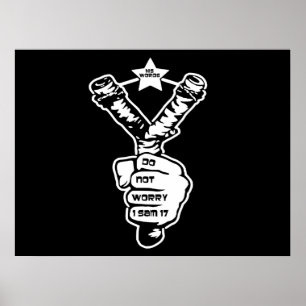 David's Slingshot Poster