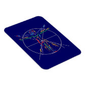 DaVinci Anatomy Man in Chakra Farben Magnet (Rechte Seite)