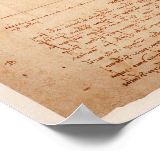 DaVinci Man Poster (Ecke)