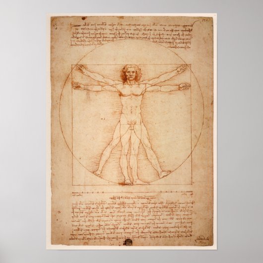 DaVinci Man Poster (Vorne)