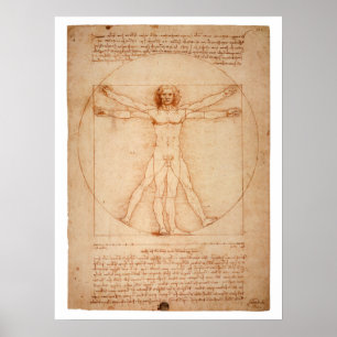 DaVinci Vitruvian Man Poster