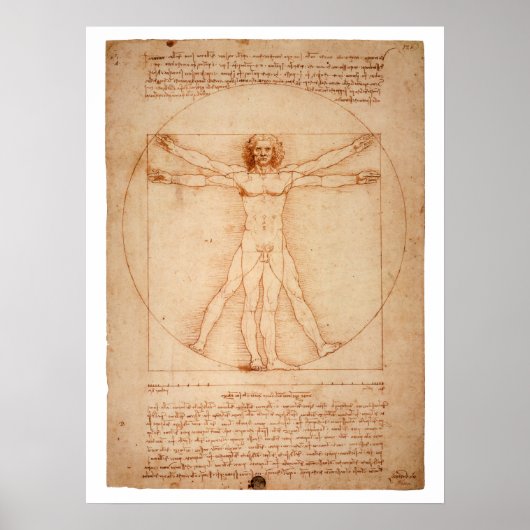 DaVinci Vitruvian Man Poster (Vorne)
