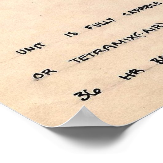 DaVincis verlorenes Design Poster (Ecke)