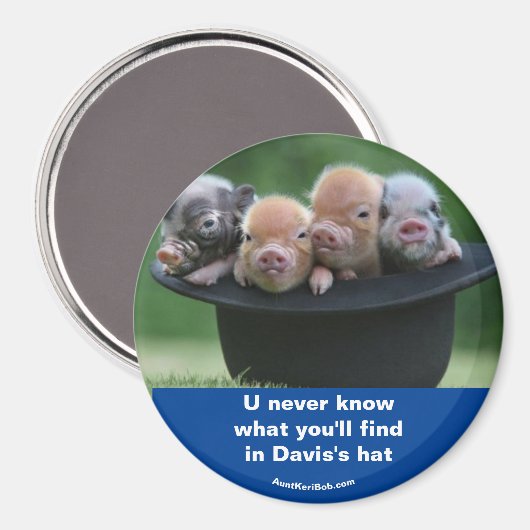 Davis-Hut Magnet (Vorderseite/Rückseite)