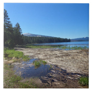Davis Lake, OR Fliese