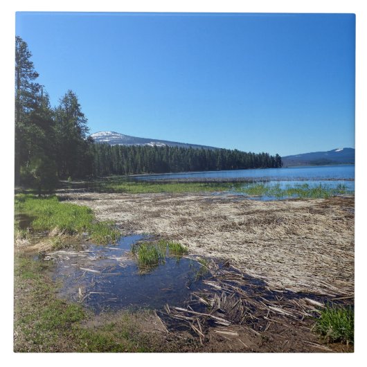 Davis Lake, OR Fliese (Vorderseite)