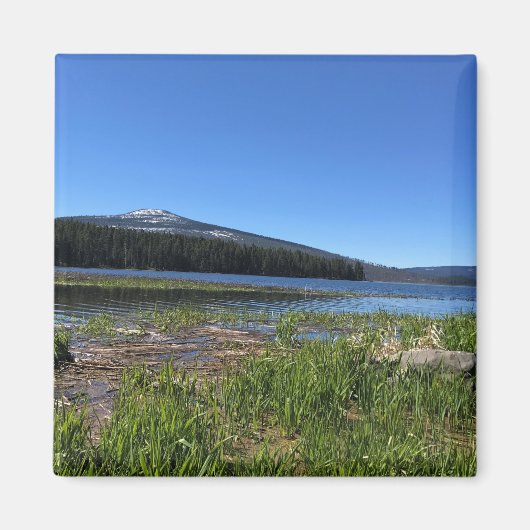 Davis Lake, OR Magnet (Vorne)