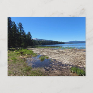 Davis Lake, Oregon Postkarte