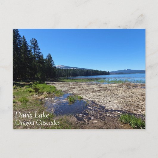 Davis Lake, Oregon Postkarte (Vorderseite)