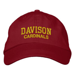 Davison Michigan High School Baseball Hat Bestickte Baseballkappe