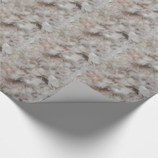 Davon Feathers Fotografie Funny Geschenkpapier (Ecke)