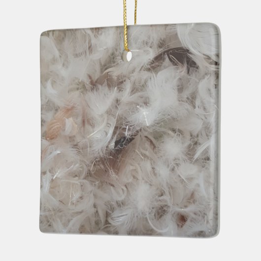 Davon Feathers Fotografie Funny Keramikornament (Links)