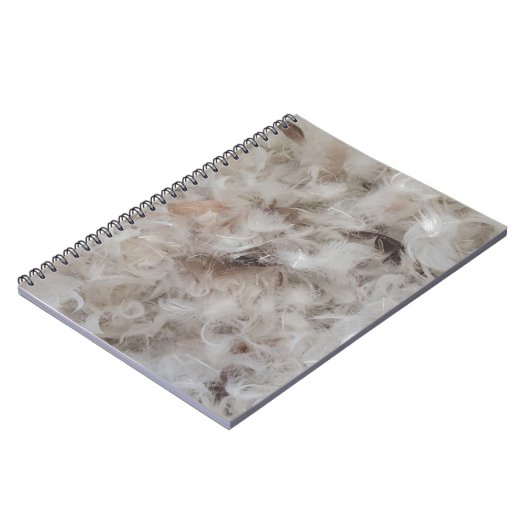 Davon Feathers Fotografie Funny Notizblock (Linke Seite)