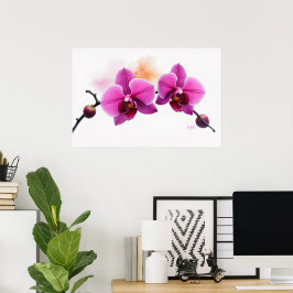 Dawn Bloom Orchid Poster