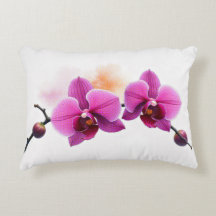 Dawn Bloom Orchide