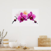 Dawn Bloom Orchide Poster (Küche)
