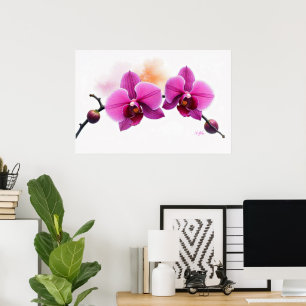 Dawn Bloom Orchide Poster