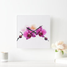 Dawn Bloom Orchide