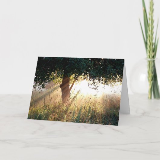 Dawn Deepest Sympathy Card Karte (Vorderseite)