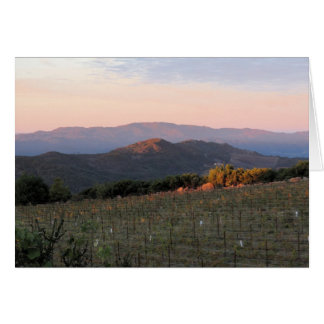 Dawn from Atlas Peak, Napa Valley, 1