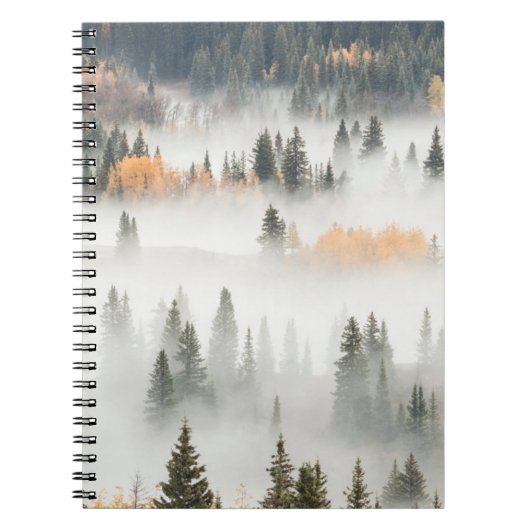 Dawn Ground Fog deckt Bergwald ab Notizblock (Vorderseite)