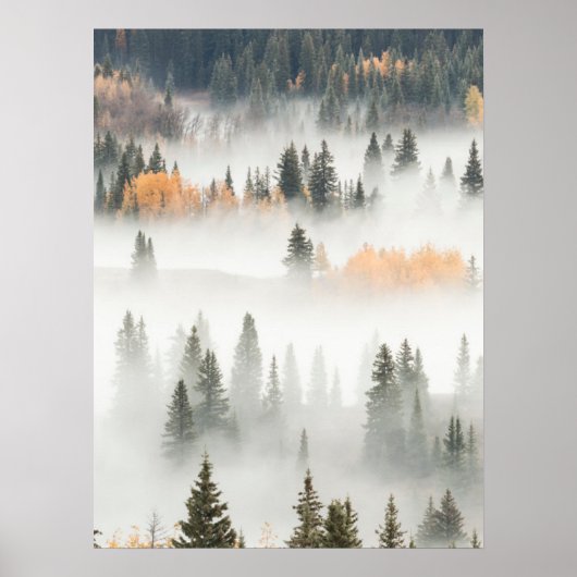 Dawn Ground Fog deckt Bergwald ab Poster (Vorne)
