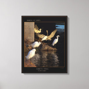 Dawn Snowy Egrets Wrapped Canvas Leinwanddruck