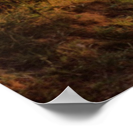 Dawn Sunshine | Englisch Countryside Poster (Ecke)