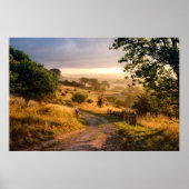 Dawn Sunshine | Englisch Countryside Poster (Vorne)