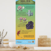 Dawn Trial Infographic Poster (Küche)