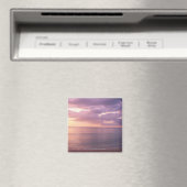 Dawn trifft Strand Magnet (In Situ (Geschirrspüler))