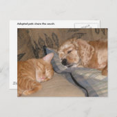 Dax und Chance Share Postkarte (Vorne/Hinten)