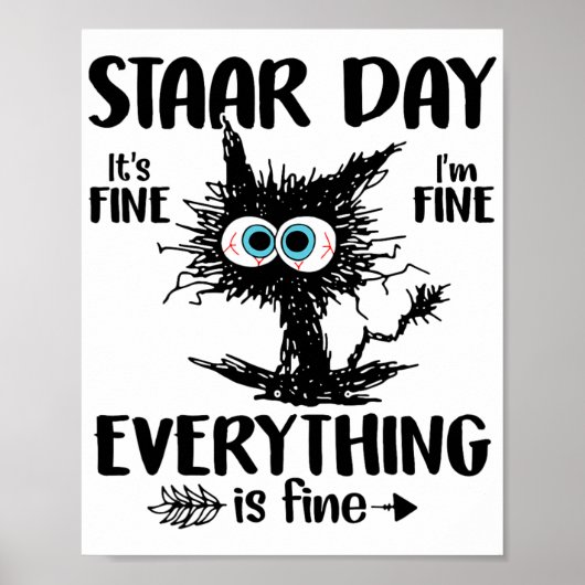 Day Black Cat Teacher Student Kids Staar Testing D Poster (Vorne)
