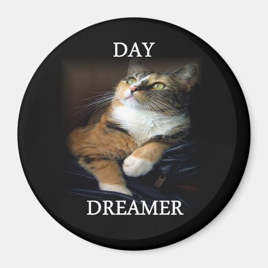 Day Dreamer Magnet (Vorne)