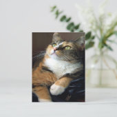 Day Dreamer Postcard Postkarte (Stehend Vorderseite)