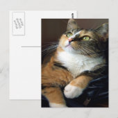 Day Dreamer Postcard Postkarte (Vorne/Hinten)
