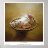 Day Dreamer Poster (Vorne)