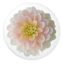 Day Dreamer Wasserlilie Dahlia