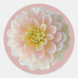 Day Dreamer Wasserlilie Dahlia Runder Aufkleber