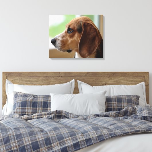 Day Dreaming Beagle Leinwanddruck (Insitu (Schlafzimmer))