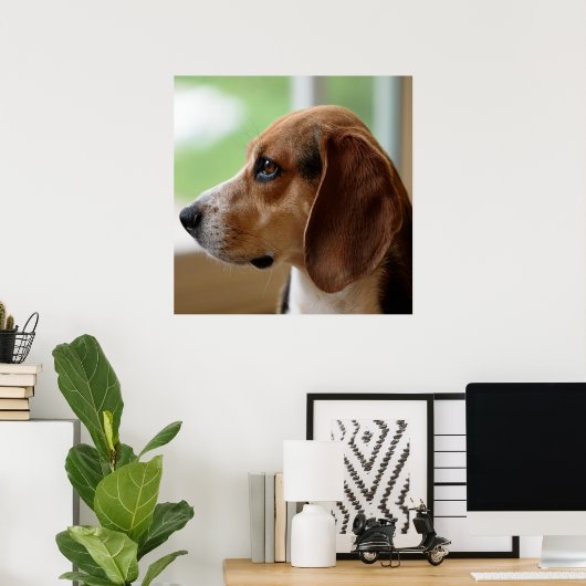 Day Dreaming Beagle Poster (Heimbüro)