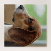 Day Dreaming Beagle Puzzle (Horizontal)