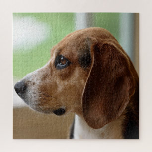 Day Dreaming Beagle Puzzle