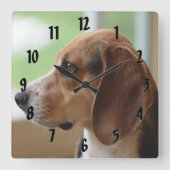 Day Dreaming Beagle Quadratische Wanduhr (Vorderseite)