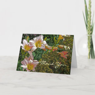 DAY LILIES , "Danke, es war so nett von Ihnen" Dankeskarte
