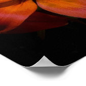 Day Lilly Poster (Ecke)